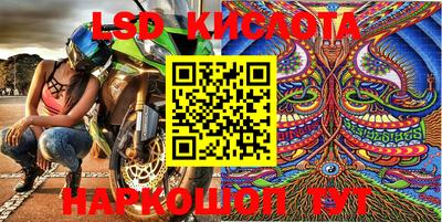 шишки Новозыбков